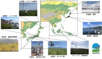 アジア地域初！ 陸域生態系によるCO₂吸収動態を明らかにする大規模基盤データセット “JapanFlux2024”を構築 （千葉大 市井教授）