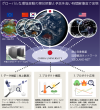 JSPS Core-to-Core Program accepted !!