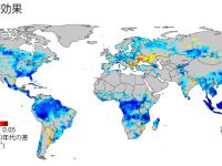 2000年代の陸域CO2吸収量が過去100年間で最大！ 過去の大規模土地利用変化から回復した植生が原因の一つ ～陸域生態系による大気CO2増加の緩和プロセスに新たな理解～（近藤雅征特任助教）