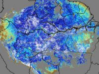 独自の解析アルゴリズムで、アマゾン熱帯雨林の季節変化を検出　次世代静止気象衛星の更なる活用に期待（樋口篤志准教授）